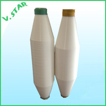 Polyester( PET/PES) Monofilament (mono) Yarn