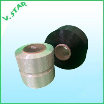 Nylon 6 mother yarn
