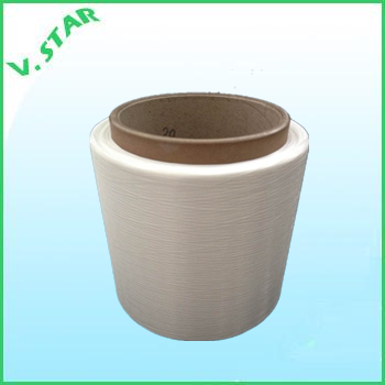 Nylon( PA) 6 Mother Yarn